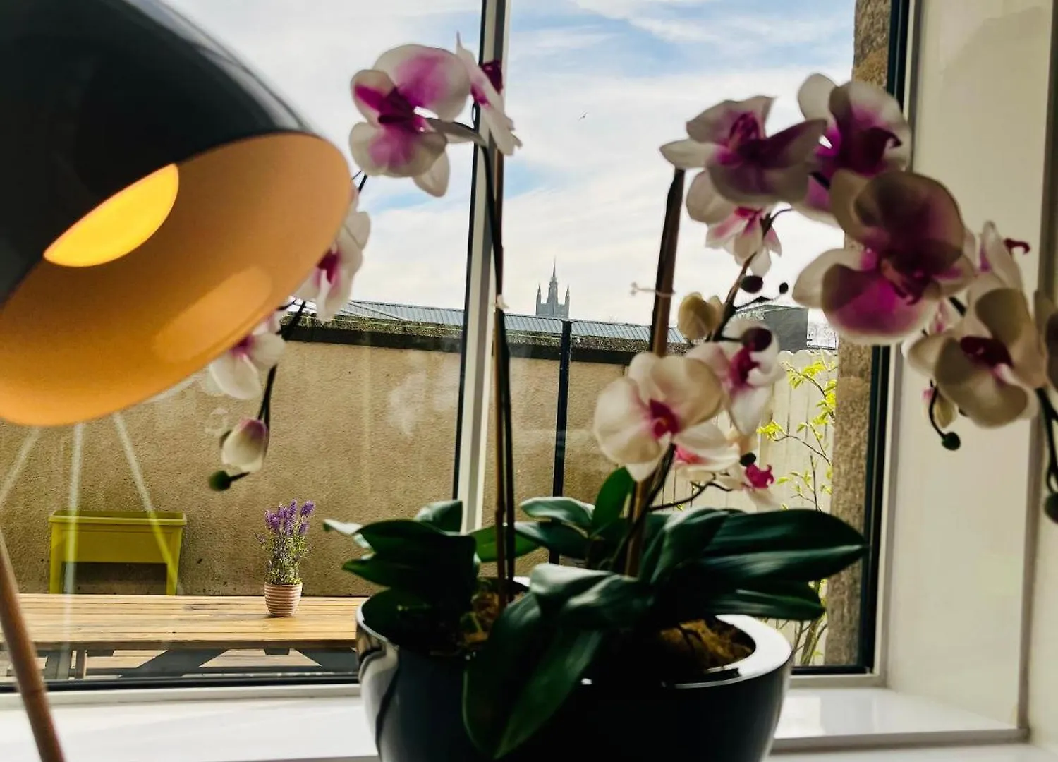 Central, Dog Friendly Apartment Aberdeen